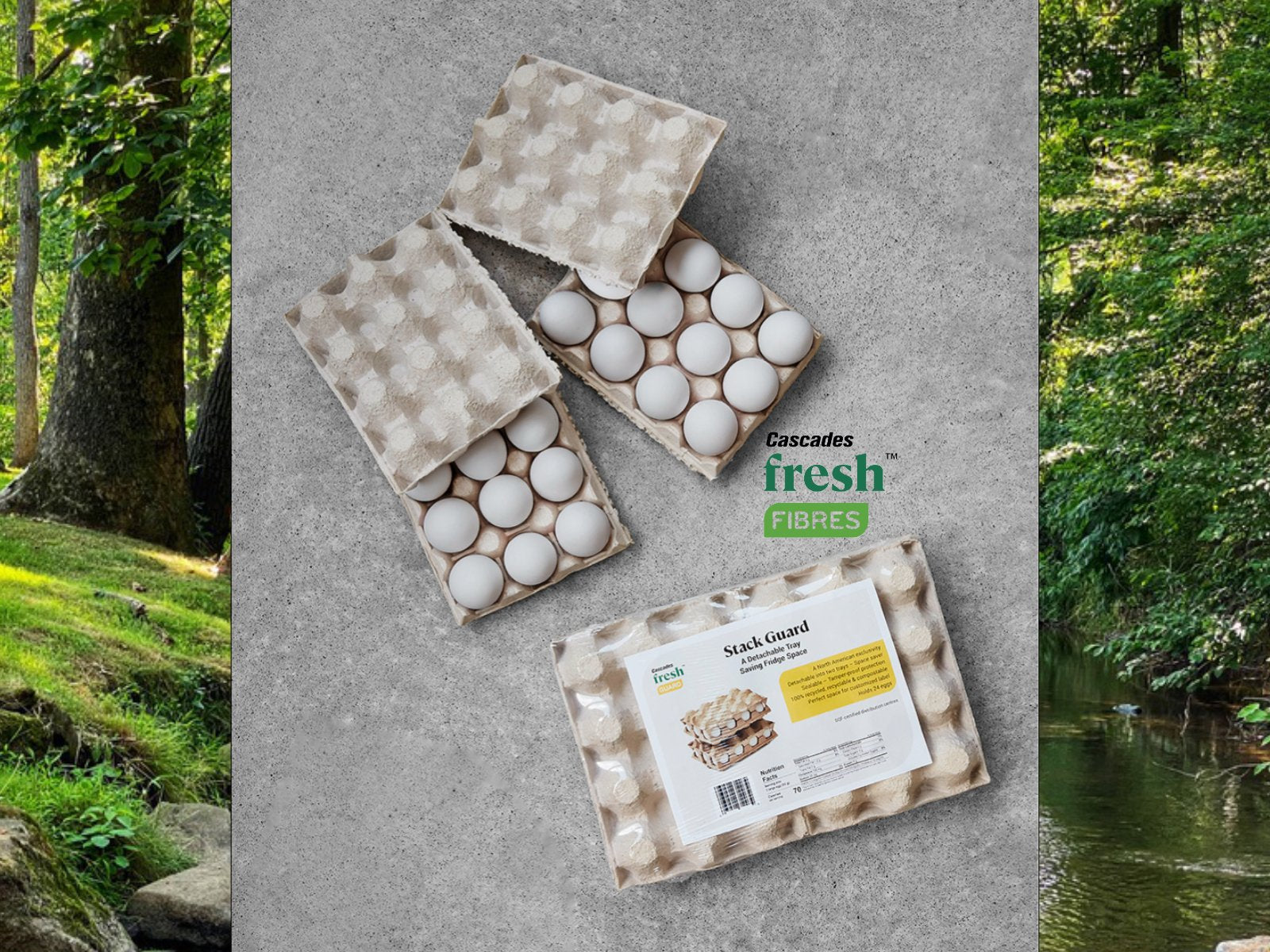 Stack Guard Perforated Egg Trays Falcon Packaging